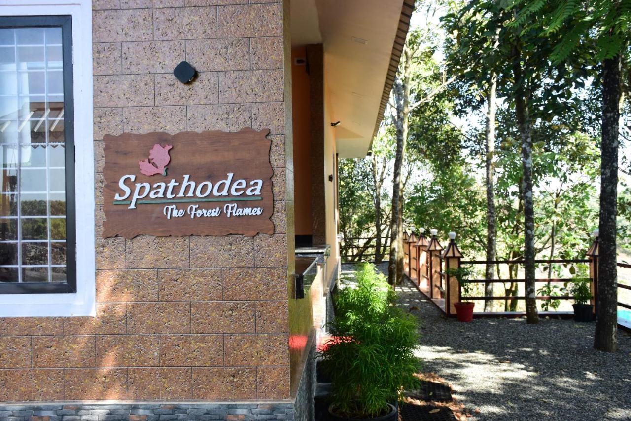 Spathodea Vagamon Exterior foto