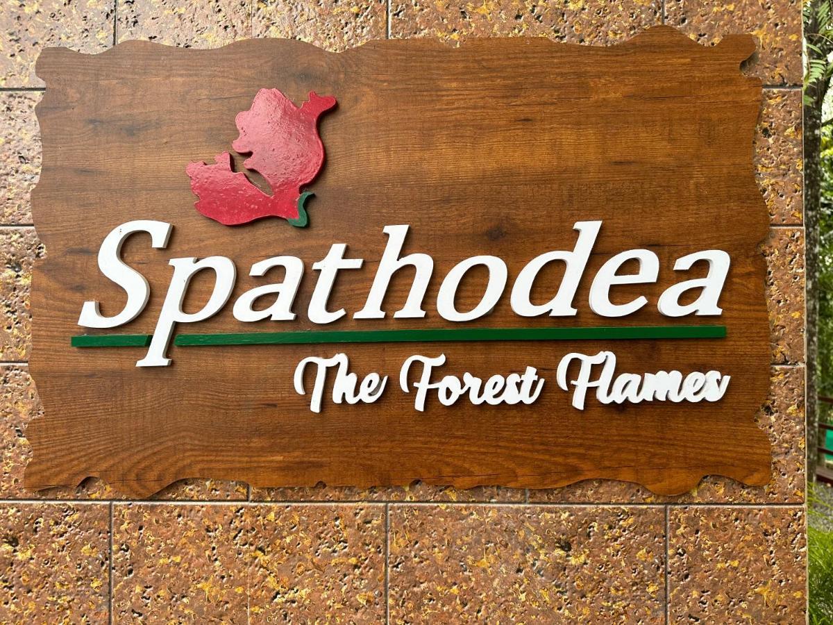 Spathodea Vagamon Exterior foto